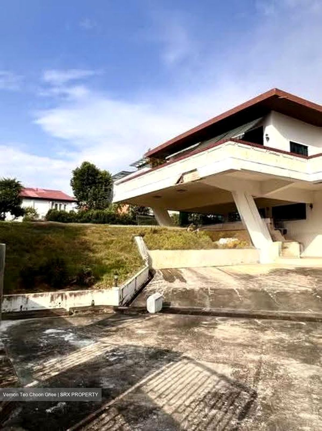 Leedon Park (D10), Detached #617884631